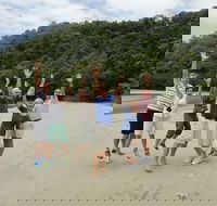 Private Daintree Wanderer Tour - Tourism Brisbane