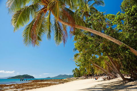 Private Daintree Wanderer Tour - Tourism Brisbane 4