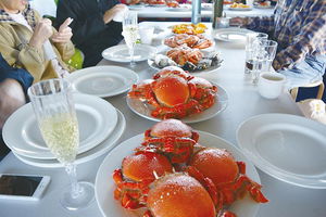 Gold Coast City Sights Tour from Brisbane