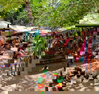 Kuranda Day Trip small group from Port Douglas by bus - Tourism Brisbane
