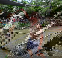 Hartley's Crocodile Adventures Day Trip from Cairns - Tourism Brisbane