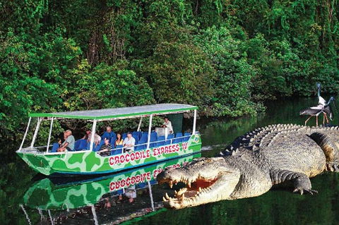 Daintree River Cruise - Tourism Brisbane 0