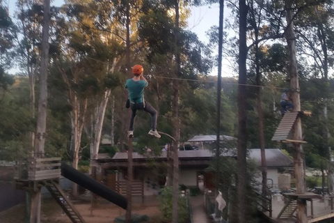 Tamborine Mountain Daily Service, Treetop Challenge And Thunderbird Park - Tourism Brisbane 1