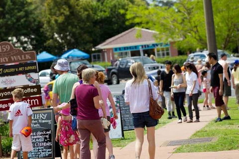 Tamborine Mountain Daily Service, Treetop Challenge And Thunderbird Park - Tourism Brisbane 6