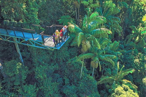 Tamborine Mountain Daily Service, Treetop Challenge And Thunderbird Park - Tourism Brisbane 12
