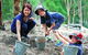 Tamborine Mountain Daily Service, Treetop Challenge And Thunderbird Park - thumb 8