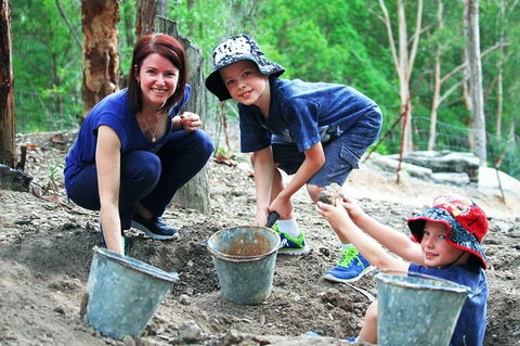 Tamborine Mountain Daily Service, Treetop Challenge And Thunderbird Park - Tourism Brisbane 8