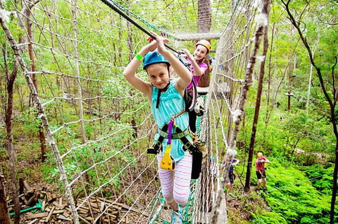 Tamborine Mountain Daily Service, Treetop Challenge And Thunderbird Park - Tourism Brisbane 4