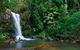 Tamborine Mountain Daily Service, Treetop Challenge And Thunderbird Park - thumb 5