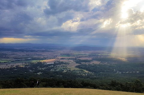Tamborine Mountain Daily Service, Treetop Challenge And Thunderbird Park - Tourism Brisbane 3