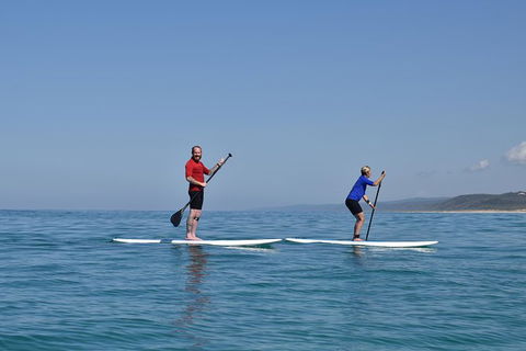 Stand Up Paddle Double Island Lesson - Brisbane Tourism 1