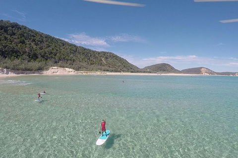 Stand Up Paddle Double Island Lesson - Brisbane Tourism 11