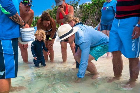 Whitehaven Beach And Hamilton Island Cruise - Tourism Brisbane 12