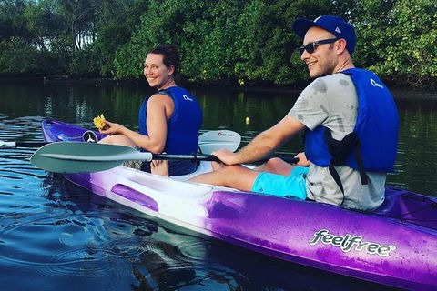 Surfers Paradise Sunset Kayak Tour - Tourism Brisbane 10