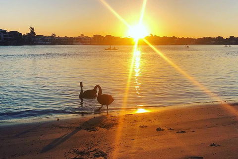 Surfers Paradise Sunset Kayak Tour - Tourism Brisbane 9