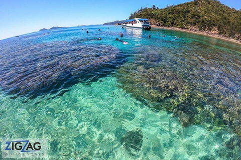 Whitehaven Beach Day Tour With Snorkel In Whitsundays Island - Tourism Brisbane 8