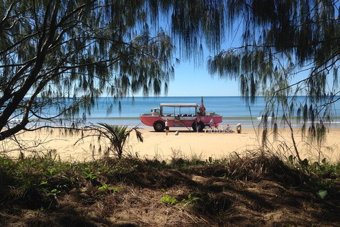 1770 Coastline Tour By LARC Amphibious Vehicle Including Picnic Lunch - Brisbane Tourism 0