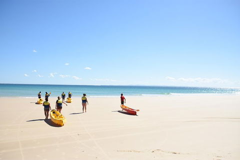 Half-Day Kayak With Dolphins And 4WD Beach Drive From Rainbow Beach - Tourism Brisbane 10