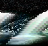 Natural Bridge Glow Worm Night Tour from Gold Coast - Tourism Brisbane