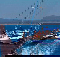 Blue Dolphin Exclusive Whale Watch Encounters - Brisbane 4u