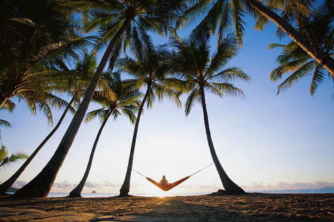 Port Douglas And Hartley's Crocodile Adventure Day Trip From Cairns - Tourism Brisbane 0