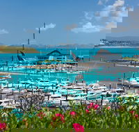Three Island Guided Tour - Tourism Brisbane