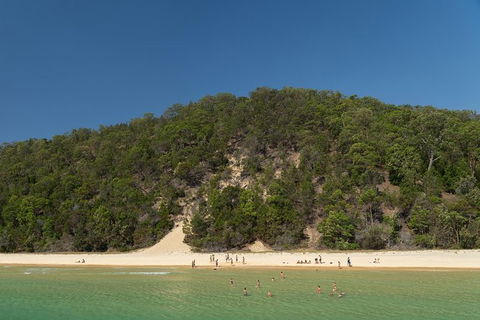 All Inclusive Dolphin And Tangalooma Wrecks Cruise Departing Gold Coast - Brisbane Tourism 3