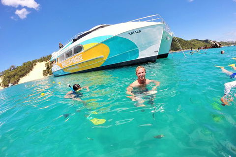 All Inclusive Dolphin And Tangalooma Wrecks Cruise Departing Gold Coast - Brisbane Tourism 2