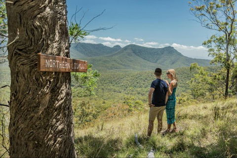 Queensland Food Tour: The Ultimate Delectable Full Day Experience - Tourism Brisbane 1