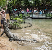 Hartley's Crocodile Adventures General Entry Ticket - Tourism Brisbane