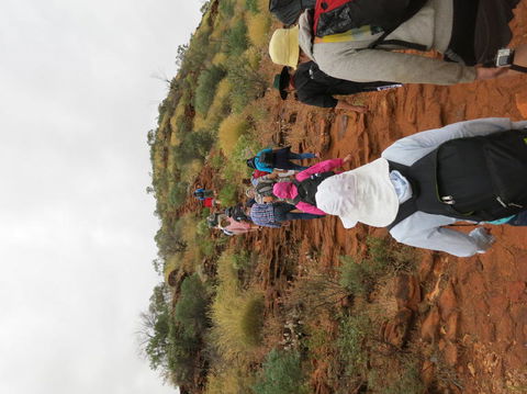 Kings Canyon Day Trip From Ayers Rock - Tourism Brisbane 14