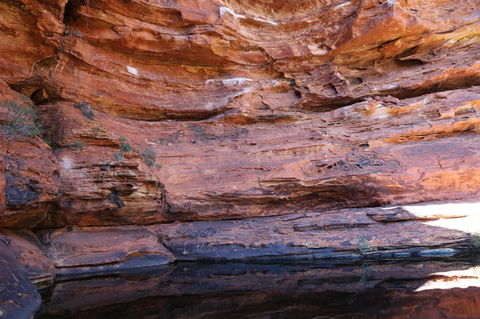 Kings Canyon Day Trip From Ayers Rock - Tourism Brisbane 16