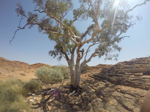 Kings Canyon Day Trip From Ayers Rock - Tourism Brisbane 3