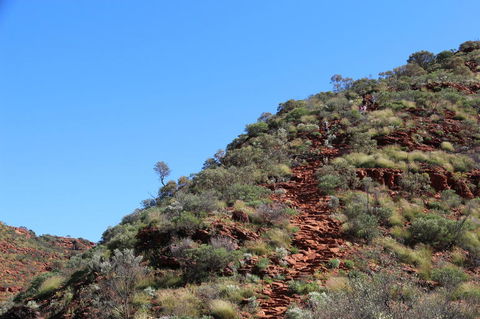 Kings Canyon Day Trip From Ayers Rock - Tourism Brisbane 21