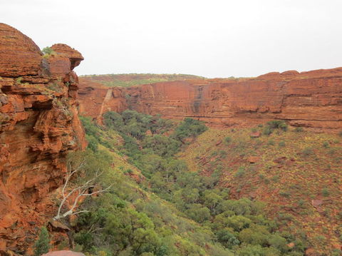 Kings Canyon Day Trip From Ayers Rock - Tourism Brisbane 13