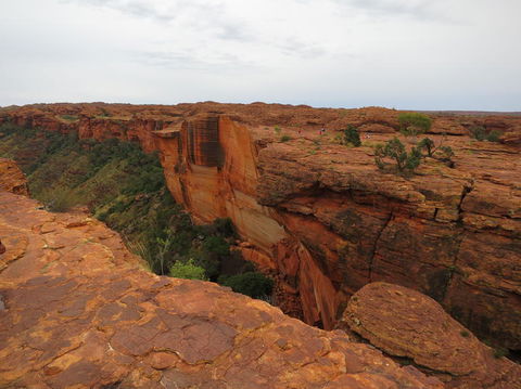Kings Canyon Day Trip From Ayers Rock - Tourism Brisbane 10