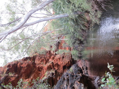 Kings Canyon Day Trip From Ayers Rock - Tourism Brisbane 11
