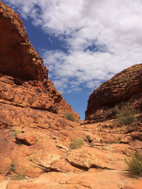 Kings Canyon Day Trip From Ayers Rock - Tourism Brisbane 25