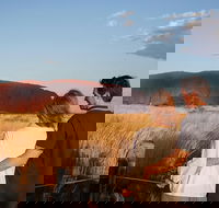 Uluru Ayers Rock Sunset with Outback Barbecue Dinner and Star Tour - Tourism Brisbane