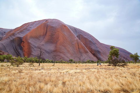 Uluru Base And Sunset Half-Day Trip With Optional Outback BBQ Dinner - Brisbane 4u 10