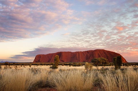 Uluru Base And Sunset Half-Day Trip With Optional Outback BBQ Dinner - Brisbane 4u 15