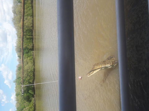 Darwin Jumping Crocodiles Cruise On Adelaide River - Brisbane Tourism 3