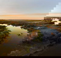 1 Day Corroboree Billabong Wetland Experience including 2.5 hour cruise  lunch - Brisbane Tourism