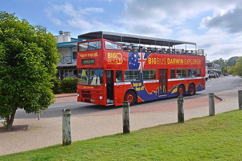 Darwin Shore Excursion: Hop-on Hop-off Bus Tour - Brisbane Tourism 0