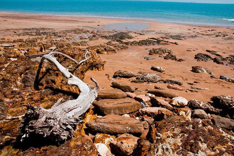 Darwin Shore Excursion: Hop-on Hop-off Bus Tour - Brisbane Tourism 9