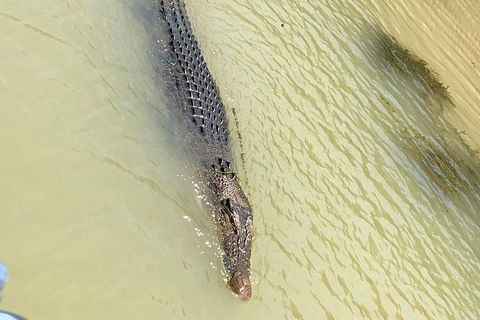 Kakadu National Park Scenic Flight & Cruise - Brisbane Tourism 11