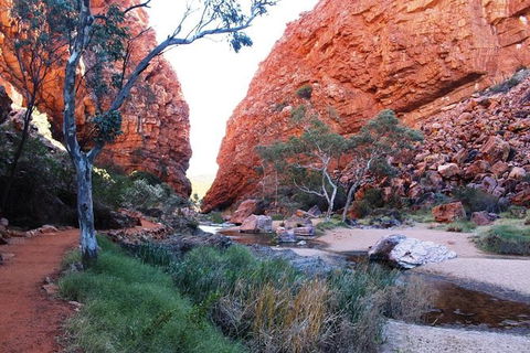 Half Day MacDonnell Ranges Small Group - Private Guided Tour - Tourism Brisbane 0