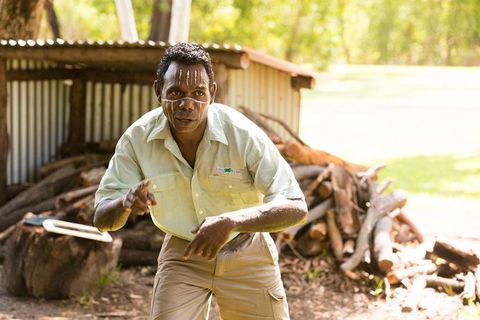 Tiwi Islands Cultural Experience From Darwin Including Ferry - Brisbane Tourism 5