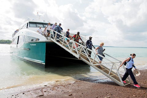 Tiwi Islands Cultural Experience From Darwin Including Ferry - Brisbane Tourism 9