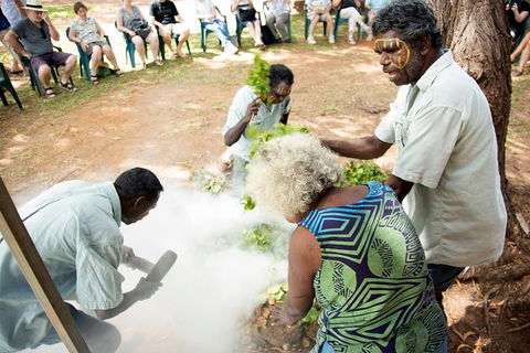Tiwi Islands Cultural Experience From Darwin Including Ferry - Brisbane Tourism 10